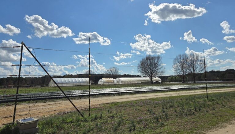 NC lawmakers advance foreign land ownership ban despite concerns about scope, funding